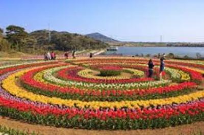 Travel Image 4